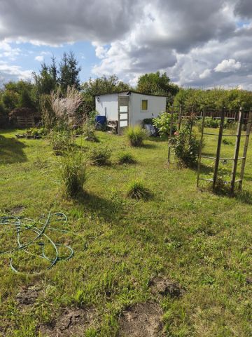 Działka rod Wrocław Brochów. Zdjęcie 1