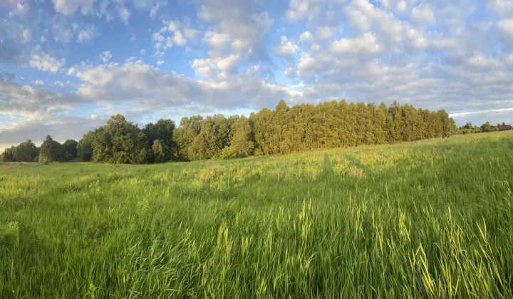 Działka budowlana Wodzisław Śląski Radlin II, ul. Głożyńska