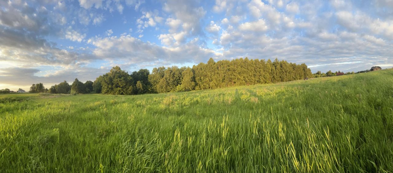 Działka budowlana Wodzisław Śląski Radlin II, ul. Głożyńska