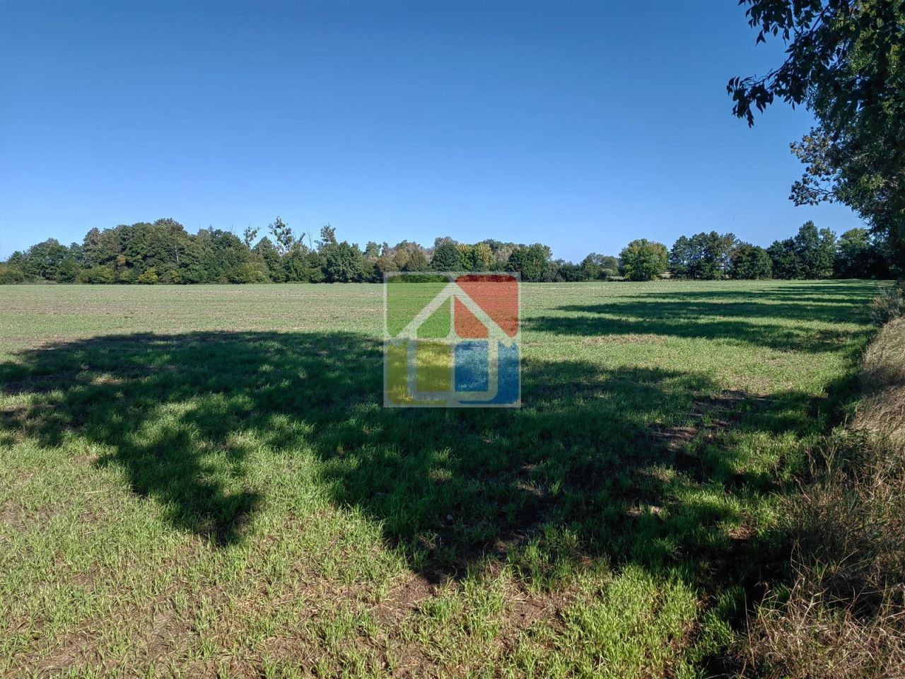 Działka rolna Zaborów Nowy. Zdjęcie 6