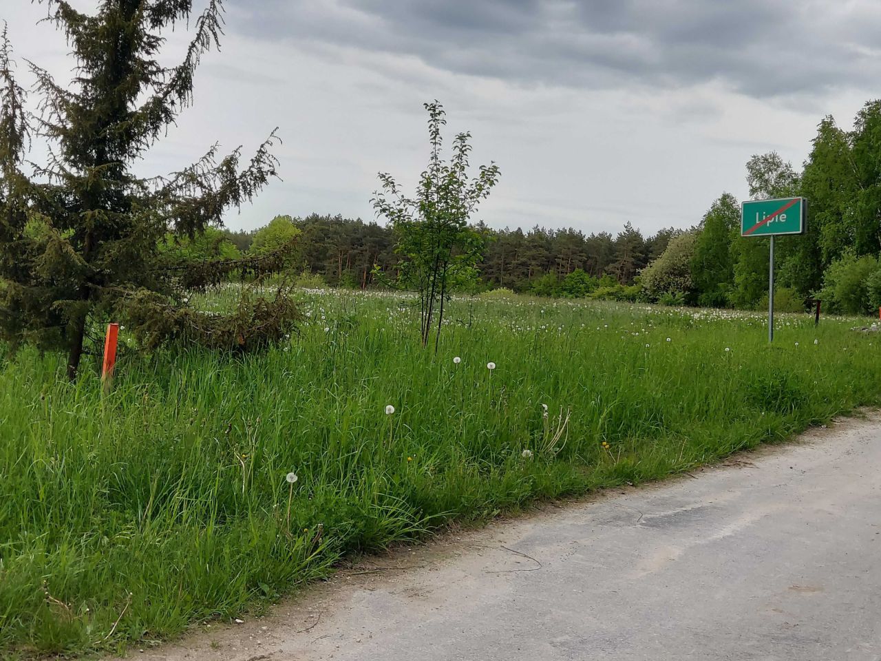 Działka budowlana Lipie. Zdjęcie 4