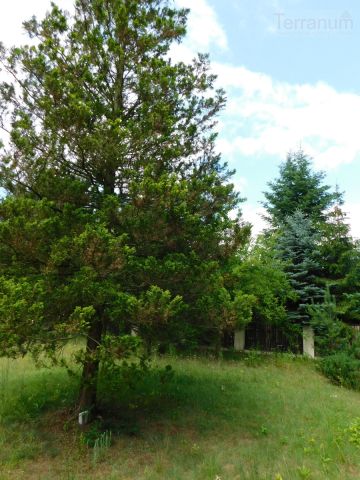 dom wolnostojący, 5 pokoi Jachranka. Zdjęcie 24