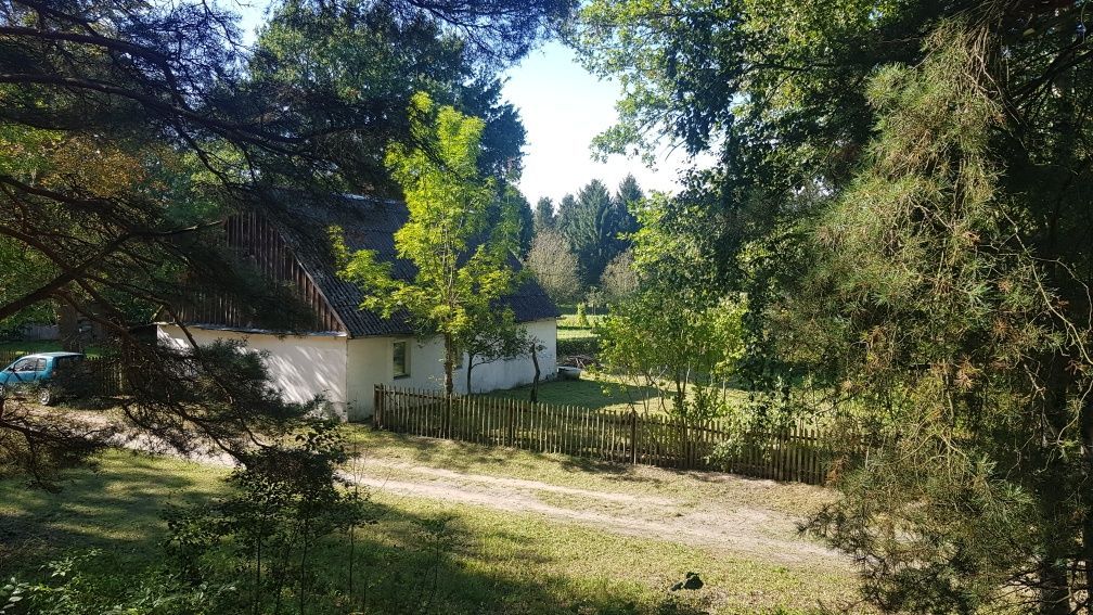 gospodarstwo Prądówka. Zdjęcie 3