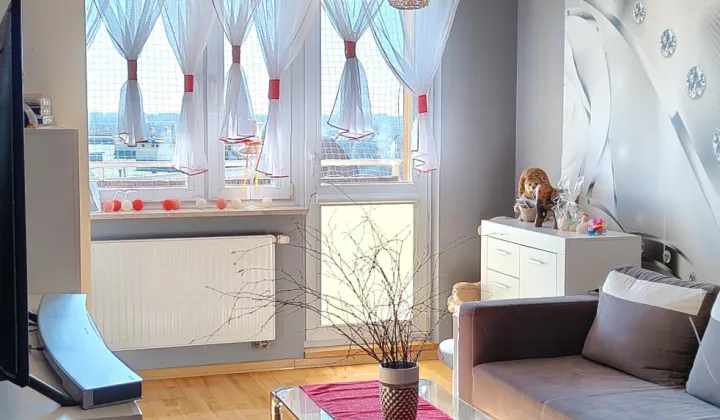 Mieszkanie 2-pokojowe Toruń Bielawy, Dojazd