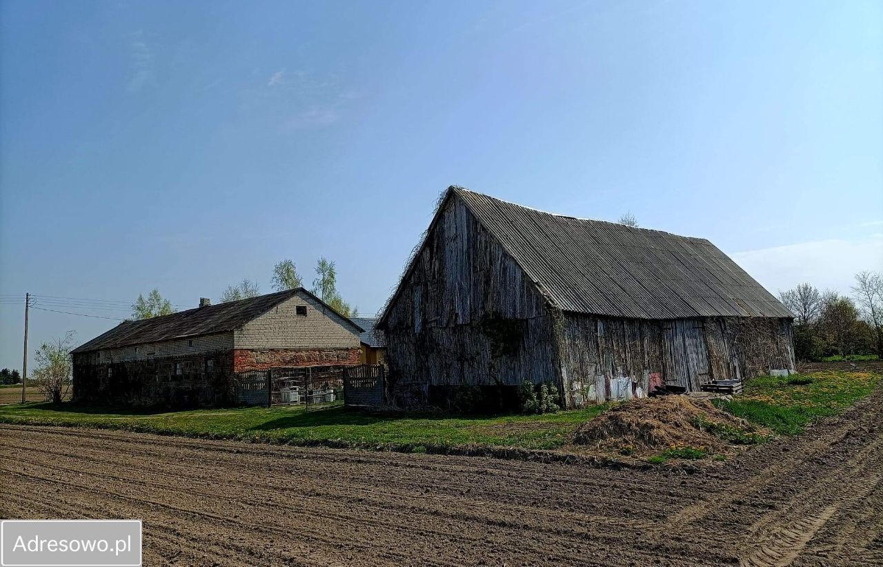 gospodarstwo, 3 pokoje Ernestynów Kujawki. Zdjęcie 18