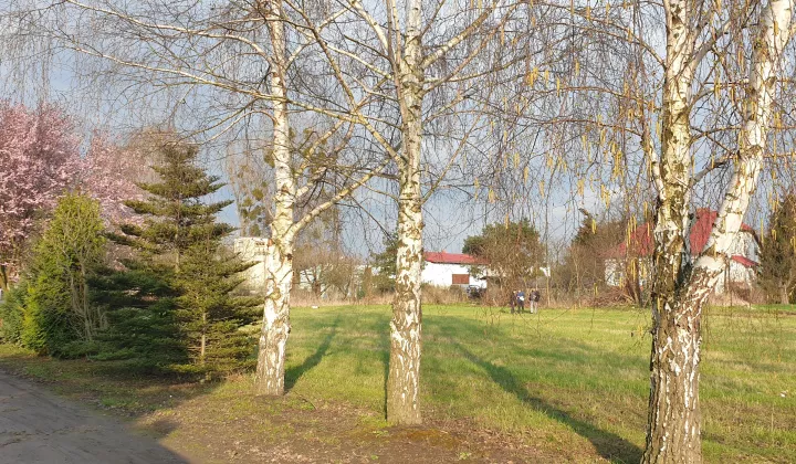 Działka budowlana Święta Katarzyna, ul. Storczykowa