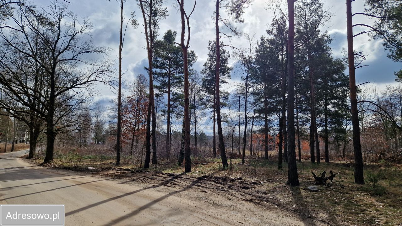 Działka budowlana Warszawa Aleksandrów, ul. Ptaków Leśnych. Zdjęcie 9