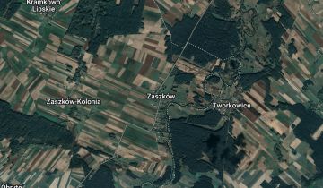 Działka rolna Zaszków