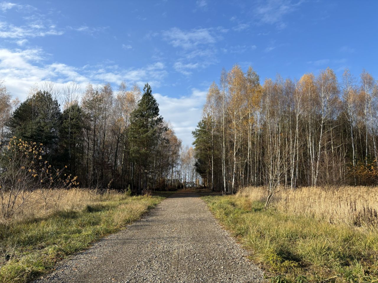 Działka budowlana Wyżnianka-Kolonia