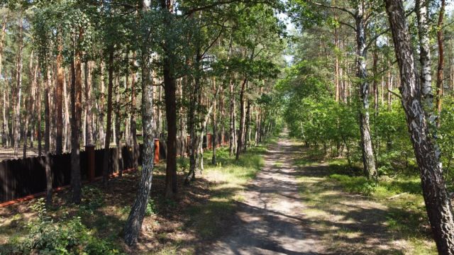 Działka leśna Warszawa Wesoła, ul. Wawerska. Zdjęcie 2