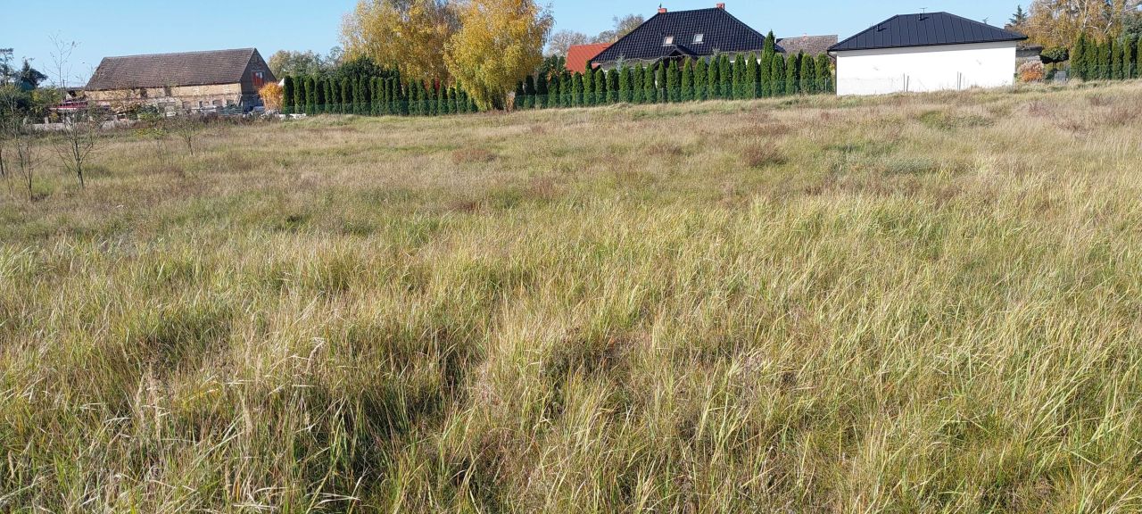 Działka budowlana Kostrzyn nad Odrą Szumiłowo. Zdjęcie 4