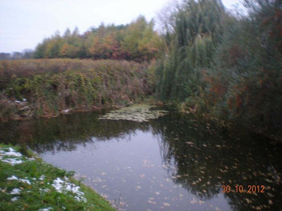 siedlisko Sieroszewo. Zdjęcie 5