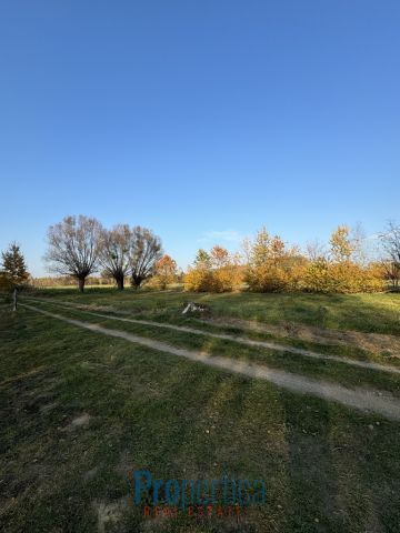 Działka rolno-budowlana Sowia Wola Folwarczna, ul. Sosnowa. Zdjęcie 8