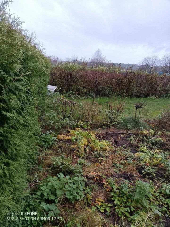 Działka rod Piła. Zdjęcie 4