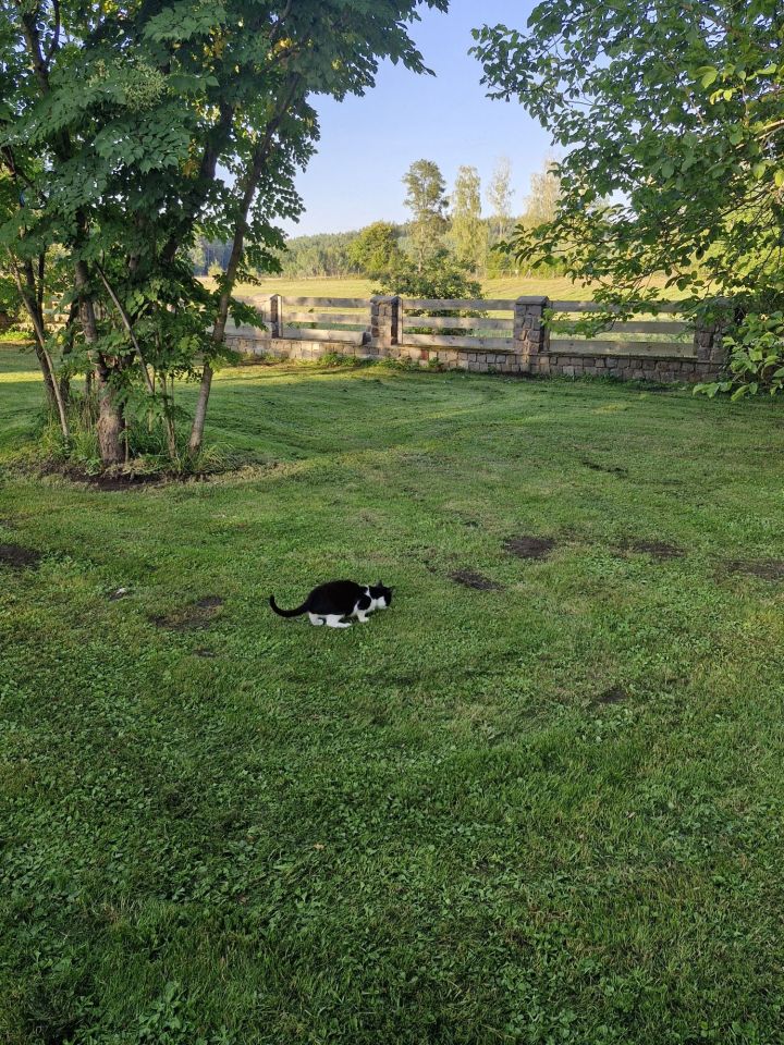 gospodarstwo Kania. Zdjęcie 8