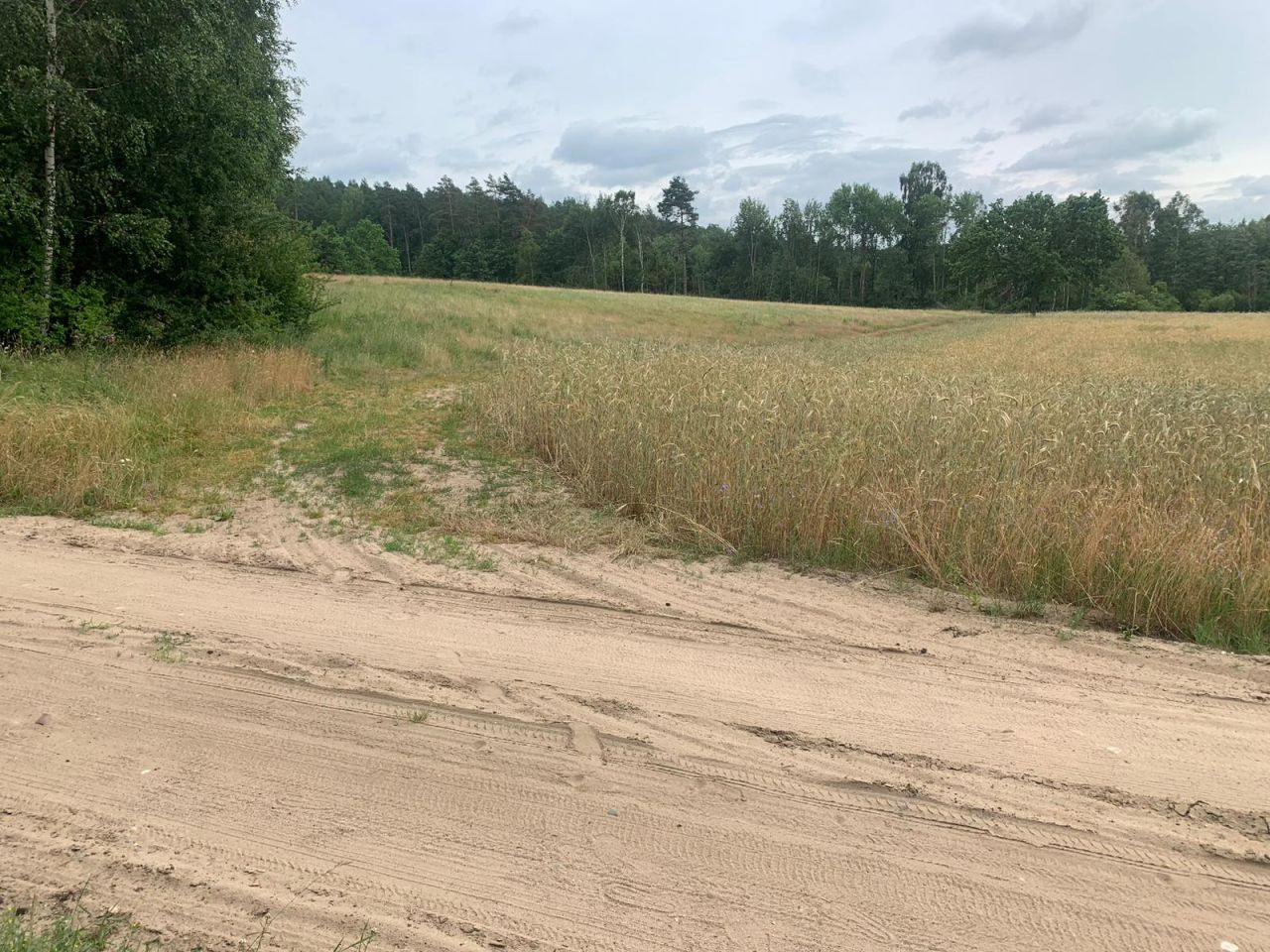 Działka rolna Różyn. Zdjęcie 2