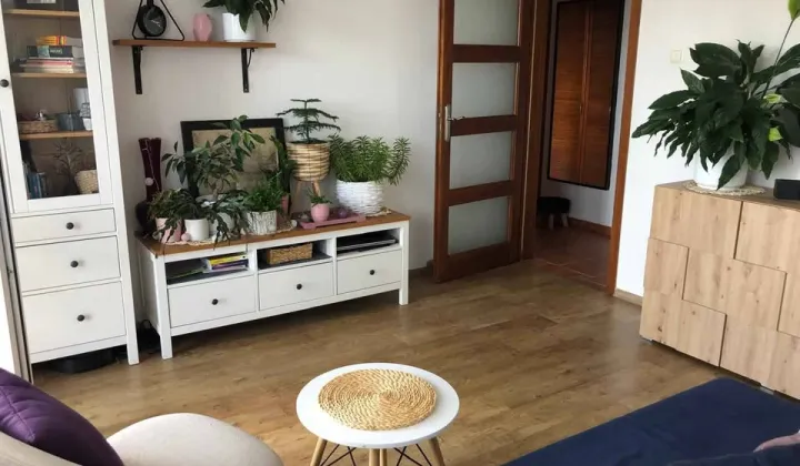 Mieszkanie 3-pokojowe Świebodzice Osiedle Piastowskie, ul. Dąbrówki