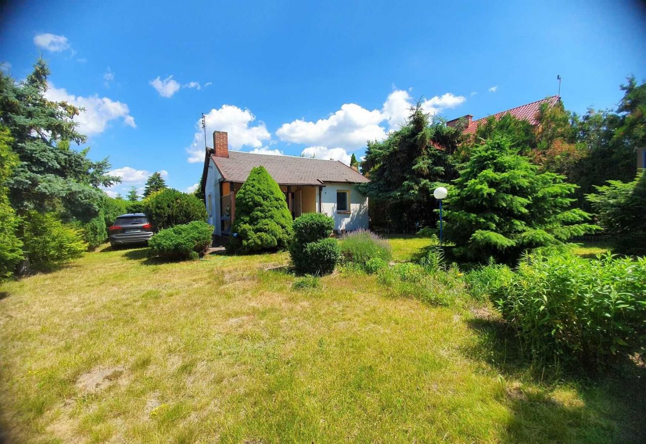 Działka rekreacyjna Kalina