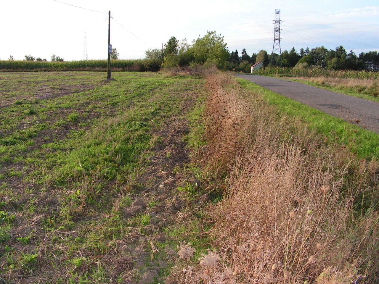 Działka budowlana Zwierzyniec Trzeci. Zdjęcie 2