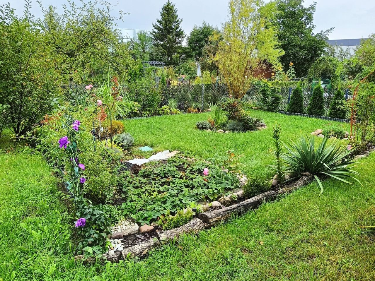 Działka rod Wrocław Psie Pole, ul. Bierutowska. Zdjęcie 5