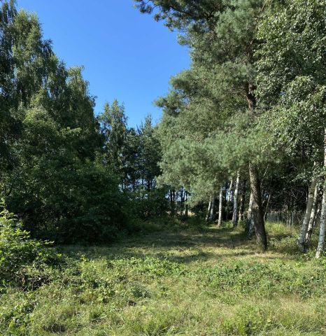 Działka budowlana Mieroszyno, ul. Spacerowa. Zdjęcie 1