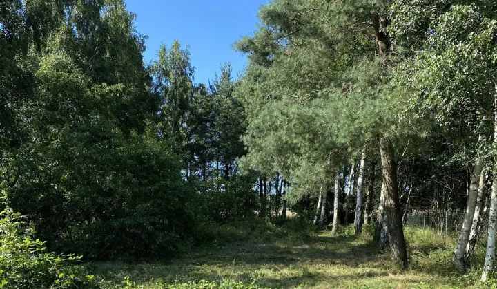 Działka budowlana Mieroszyno, ul. Spacerowa