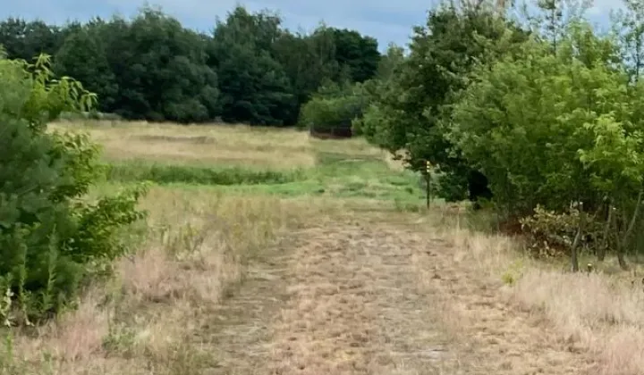 Działka rolno-budowlana Walendów, ul. Nad Utratą