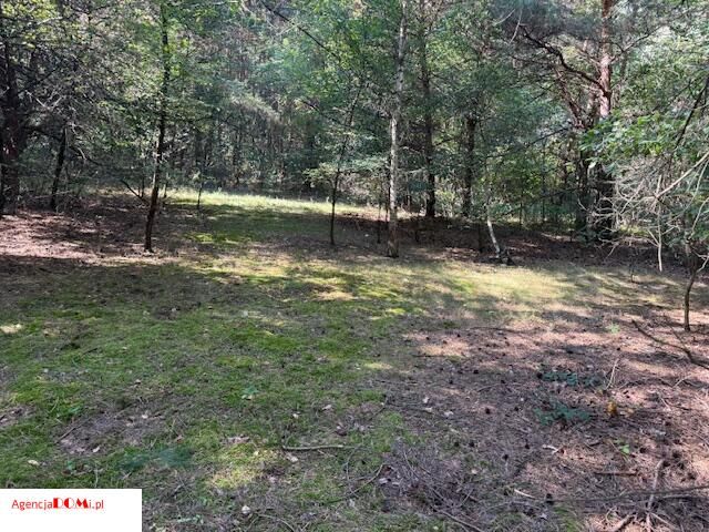 Działka budowlana Siestrzeń. Zdjęcie 4