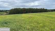 Działka budowlana Łebno, ul. Rycerska. Zdjęcie 1