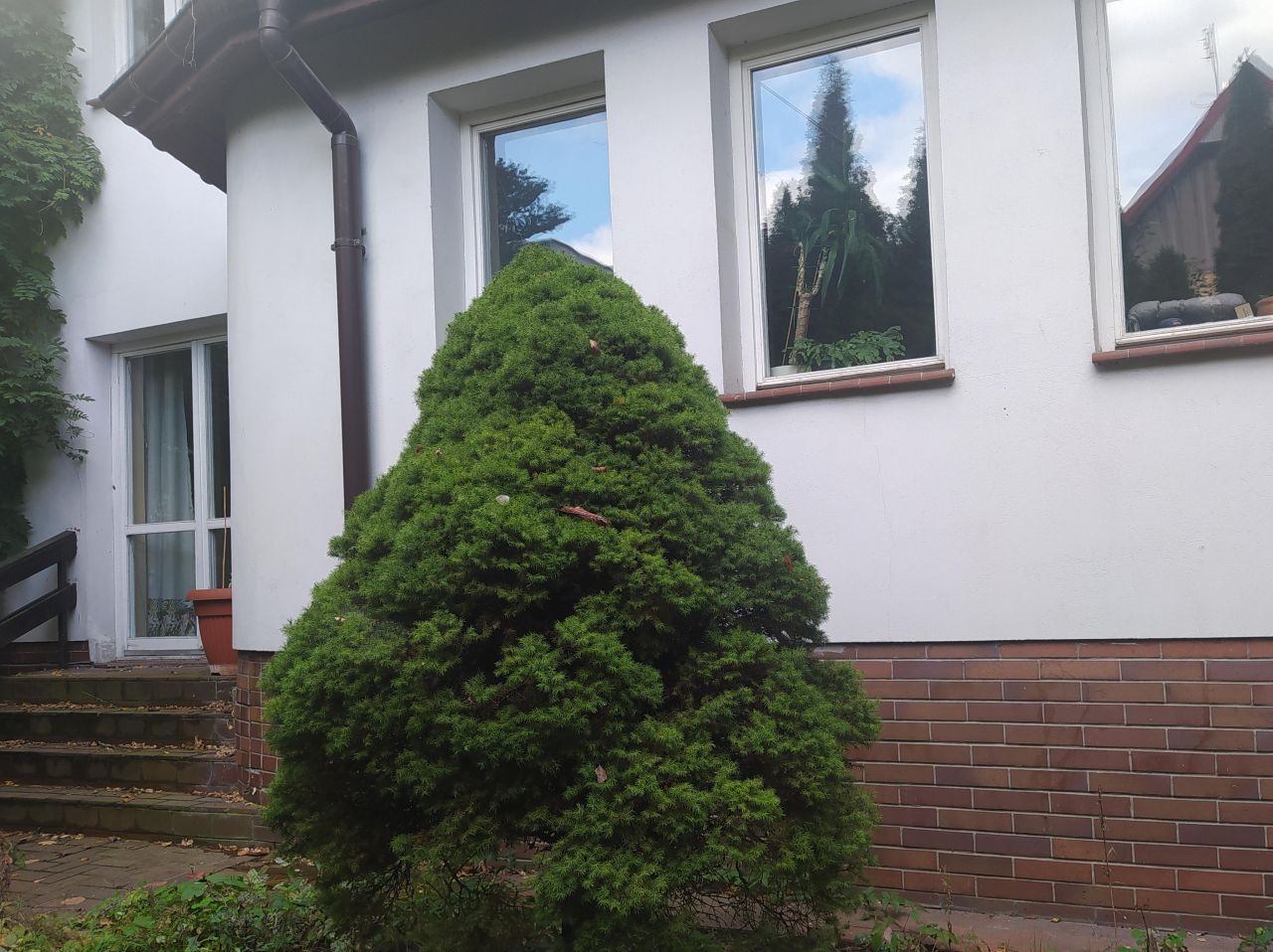 bliźniak, 6 pokoi Warszawa Białołęka, ul. Kazimierza Szałasa. Zdjęcie 2