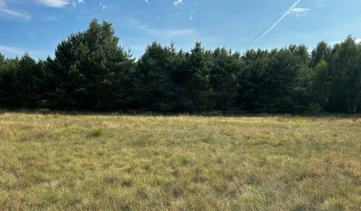 Działka rolno-budowlana Mosina