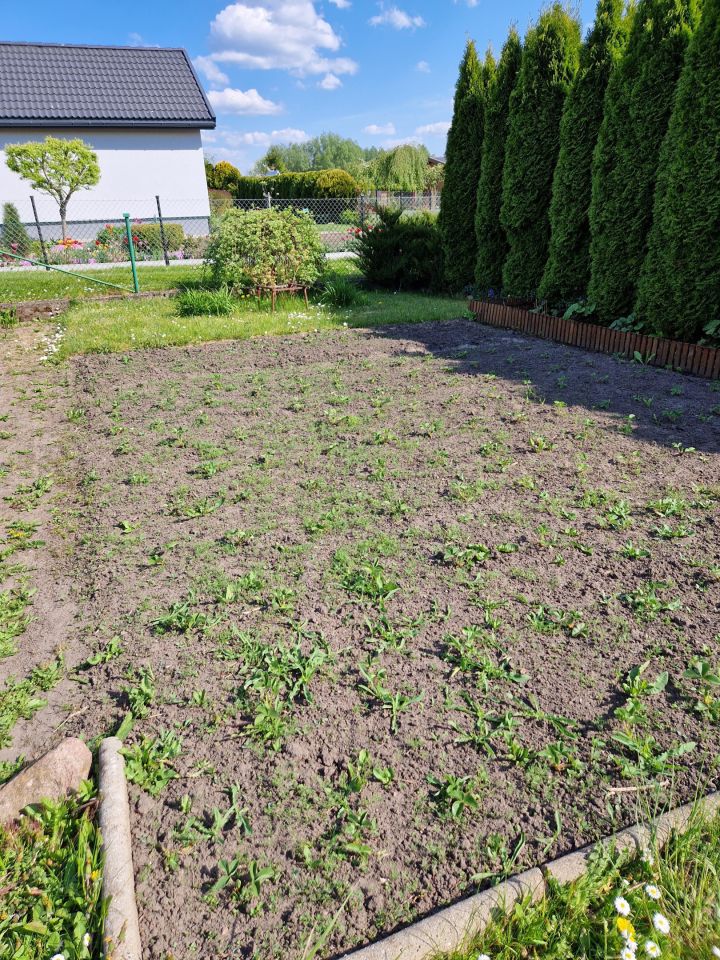 Działka rod Węgorzewo, ul. Braci Ejsmontów. Zdjęcie 14