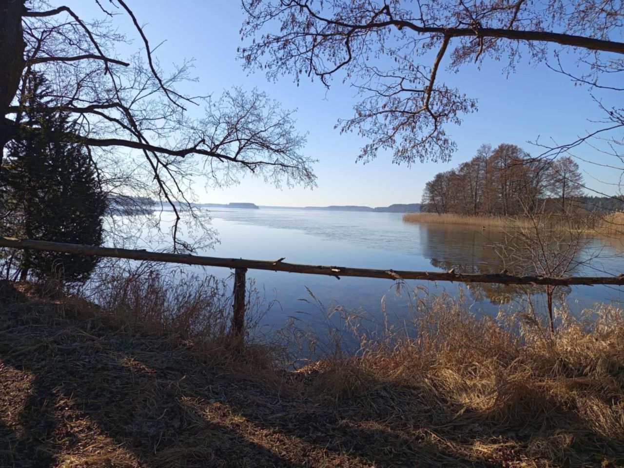 Działka rolna Zabrody. Zdjęcie 8