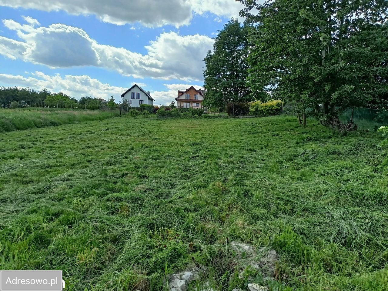 Działka budowlana Rybna. Zdjęcie 5