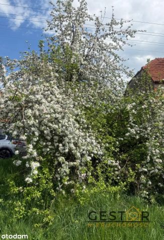 Działka budowlana Mościsko, ul. Polna. Zdjęcie 4