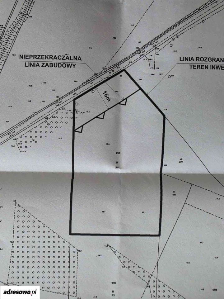 Działka budowlana Płocin. Zdjęcie 2