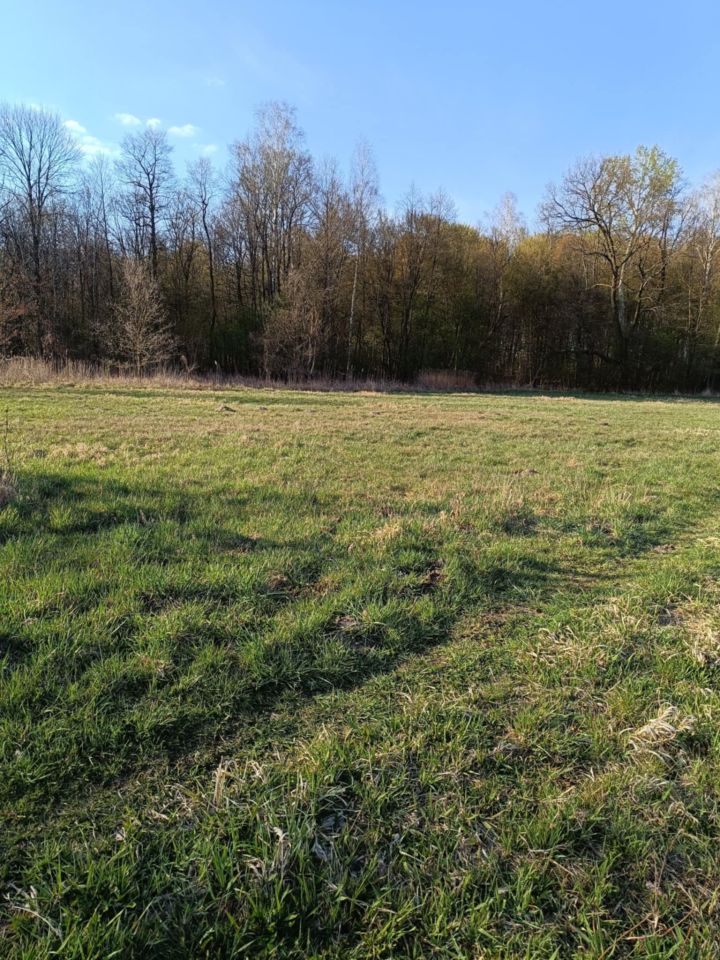 Działka budowlana Wielgolas Brzeziński, ul. Niezapominajki. Zdjęcie 3