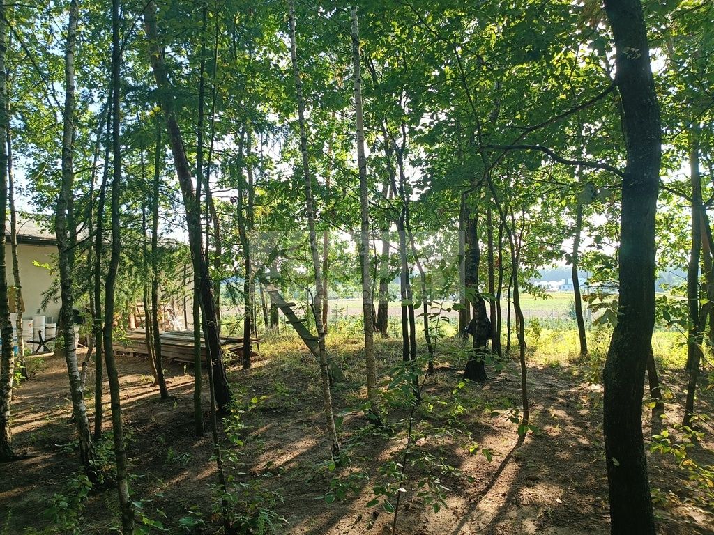 Działka siedliskowa Osuchów. Zdjęcie 5