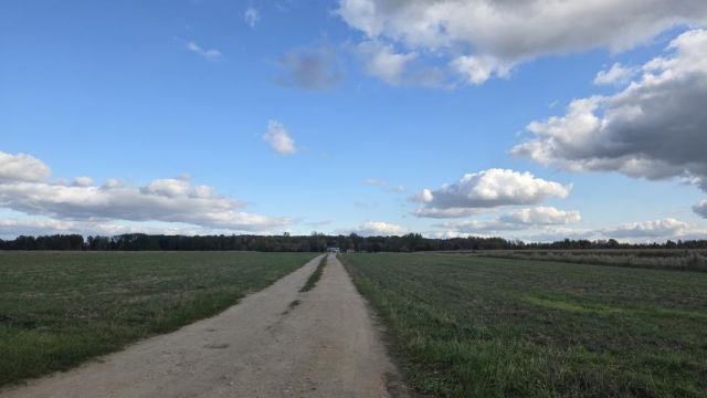 Działka rekreacyjna Nowe Miasto-Folwark. Zdjęcie 5