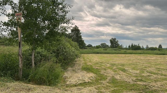 Działka rolna Moście Błota. Zdjęcie 1