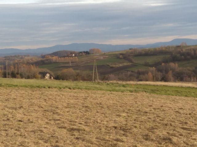 Działka budowlana Chorągwica. Zdjęcie 1