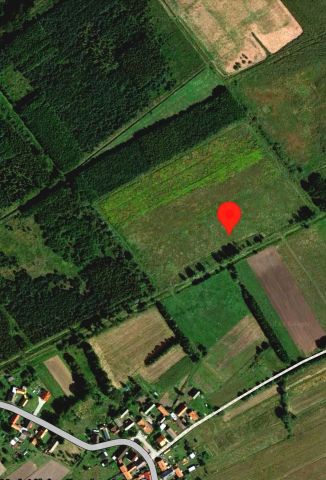 Działka rolna Jędrzychów. Zdjęcie 1