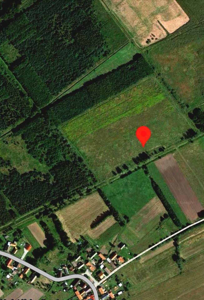 Działka rolna Jędrzychów. Zdjęcie 1