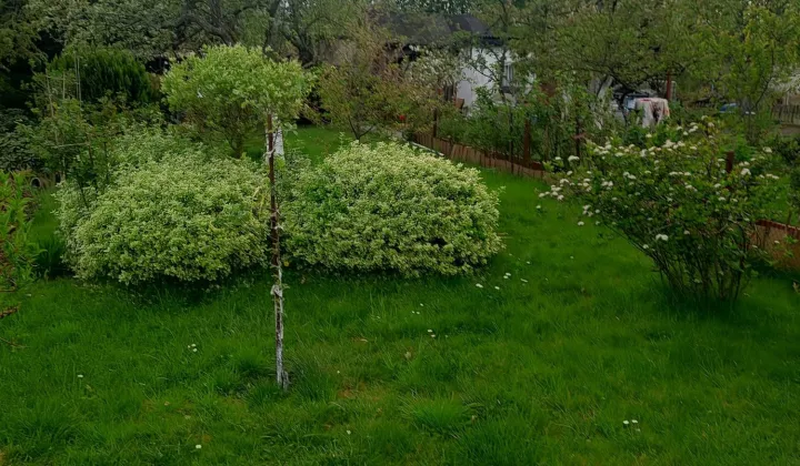 Działka rod Gorzów Wielkopolski, ul. Żwirowa
