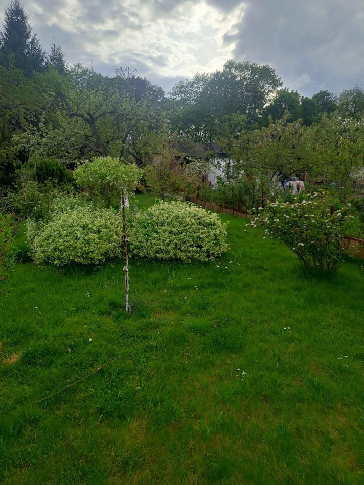 Działka rod Gorzów Wielkopolski, ul. Żwirowa. Zdjęcie 1