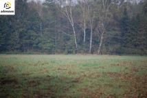 Działka budowlana Pszczyna Stara Wieś, ul. Łowiecka. Zdjęcie 4