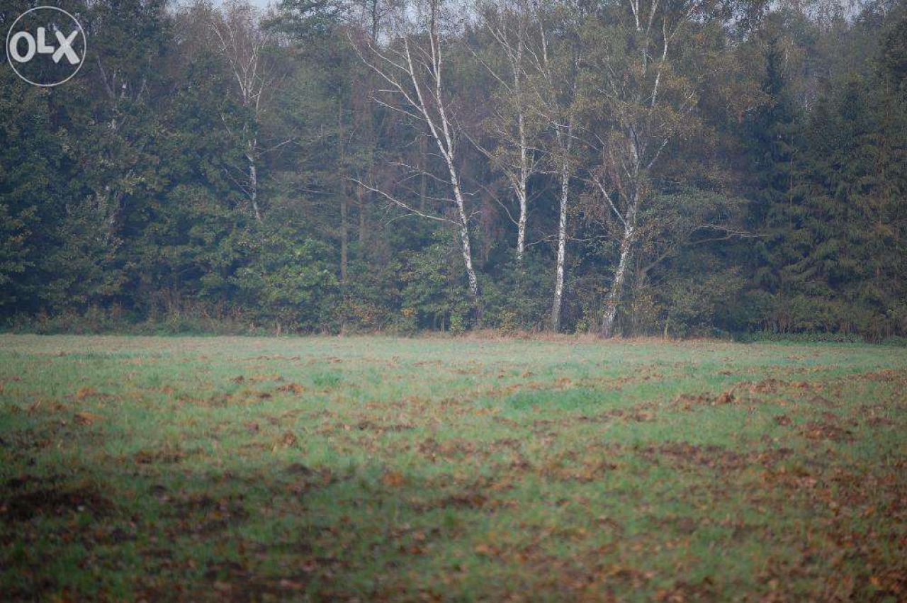Działka budowlana Pszczyna Stara Wieś, ul. Łowiecka. Zdjęcie 5