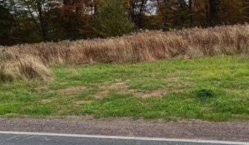 Działka rolna Świerklany, ul. Władysława Łokietka