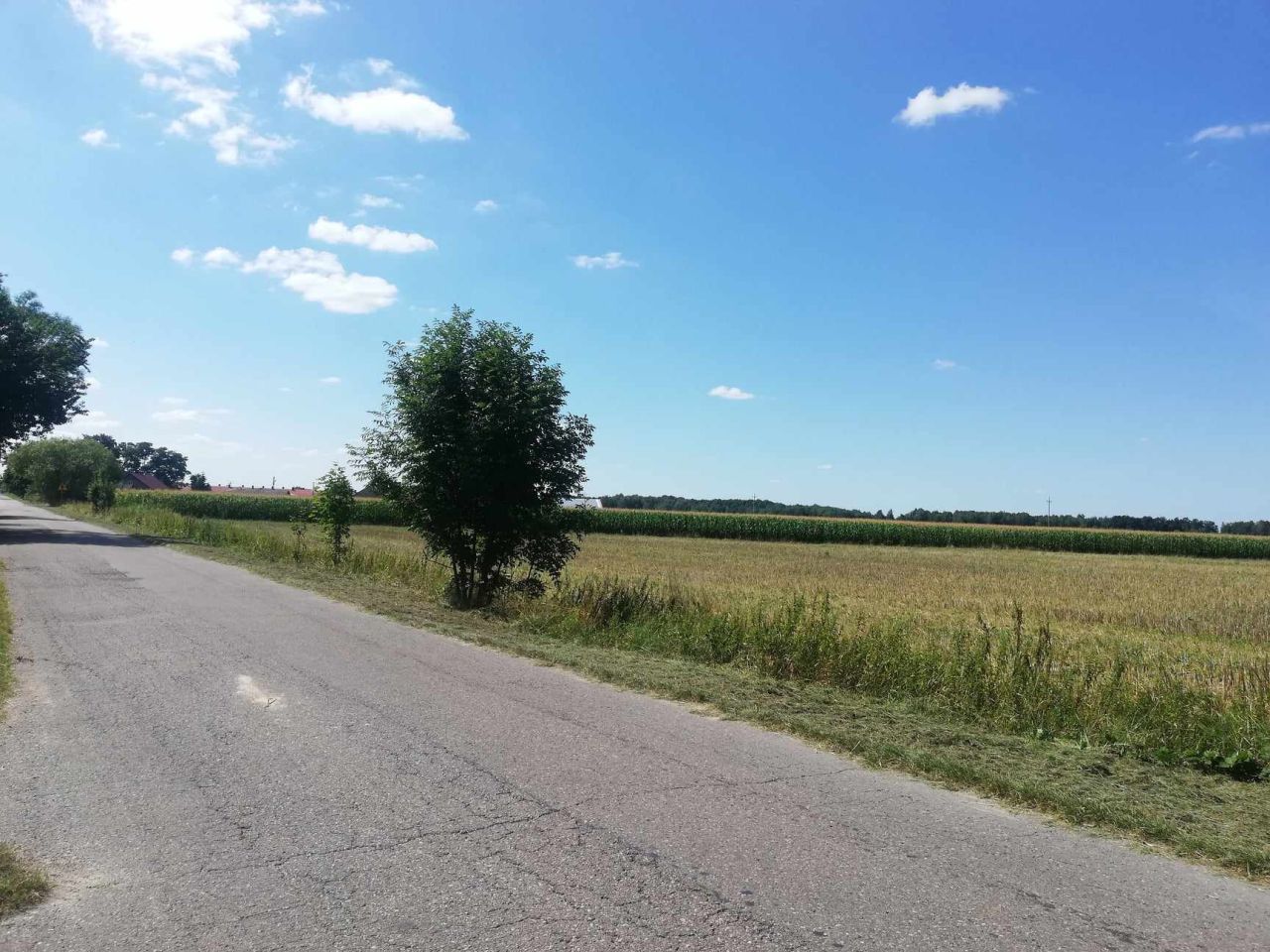 Działka budowlana Orzechów-Kolonia. Zdjęcie 4