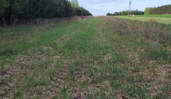 Działka rolna Księżomierz Ulica Gościeradowska